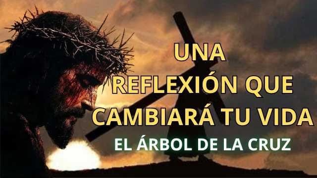 El Árbol de la Cruz